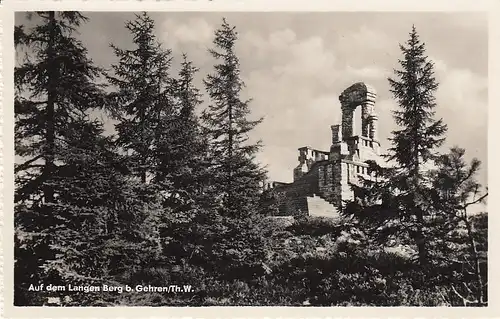 Auf dem Langen Berg b. Gehren, Thür.Wald ngl E4809