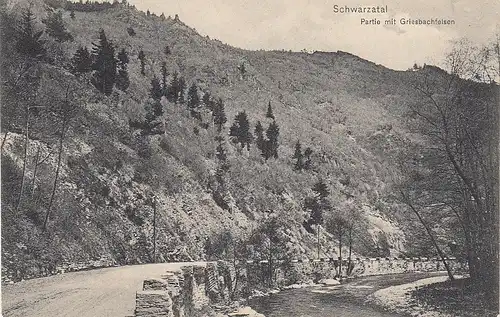 Schwarzatal, Thür.Wald, Partie mit Griesbachfelsen ngl E4826