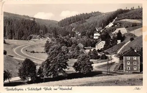 Bischofsgrün im Fichtelgebirge - Blick ins Maintal gl1954 166.730