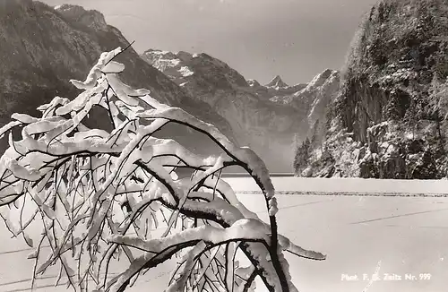 Blick auf den Königssee bei Berchtesgaden gl1955 E5502