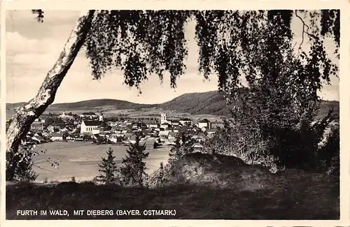 Furth im Wald - Panorama mit Dieberg ngl 166.527