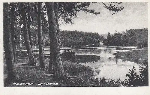 Gernrode (Harz), Der Silberteich ngl E4878