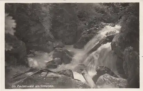 Im Zauberwald am Hintersee glum 1960? E8141