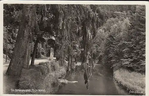 Im Schwarzatal, Thür.Wald ngl E4914