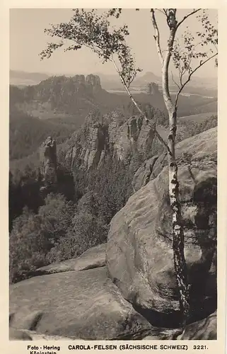 Sächs.Schweiz, Carola-Felsen ngl E4924