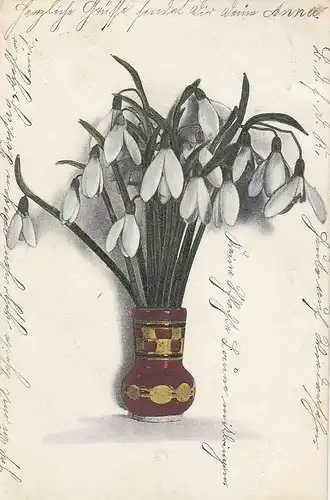 Schneeglöckchen in Vase gl1904 E3933