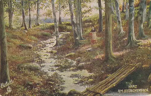 Harz nahe Bad Harzburg, Am Stübchenbach ngl E5264