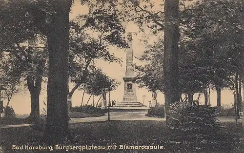 Bad Harzburg, Burgbergplateau mit Bismarcksäule ngl E4078