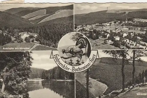 Hahnenklee-Bockswiese, Oberharz, Mehrbildkarte gl1966 E4125