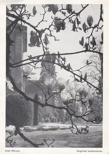 Insel Mainau im Bodensee, Partie am Schloß ngl E5079