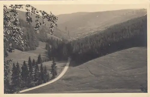 Schmiedefeld am Rennsteig, Panorama gl1955 E7306