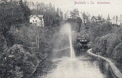 Buchholz i. Sa. - Blick nach dem Waldschlösschen ngl1912 E4322