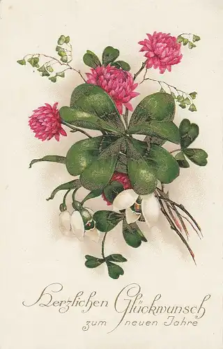 Neujahr-Grüße mit Klee ngl E5357