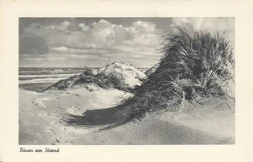 Norderney, Dünen am Strand ngl E6030