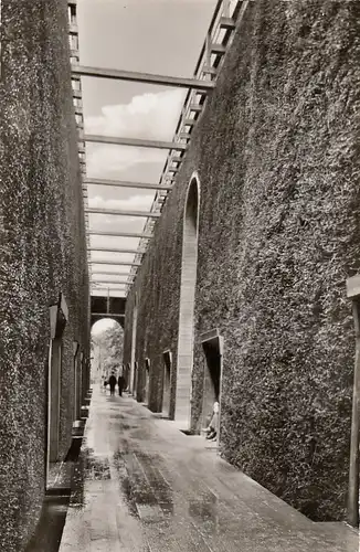 Bad Nauheim, Wandelgang in der neuen Saline ngl E8868