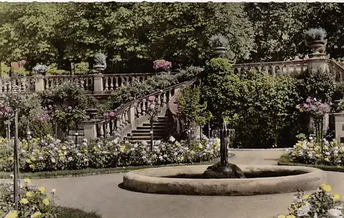 Insel Mainau im Bodensee, im Rosengarten ngl E7599