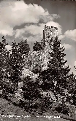 Burgruine Weißenstein bei Regen gl1959 167.145