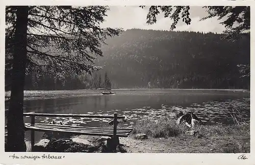 Am sonnigen Arbersee im Bayerischen Wald glum 1935? E6111