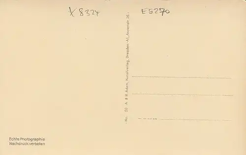 Sächs.Schweiz, Talwächter im Polenztal ngl E5270