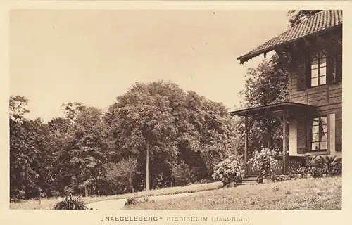 Riedesheim (Haut-Rhin) Naegelesberg ngl E9039