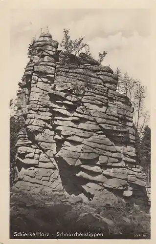 Schierke/Harz, Schnarcherklippen gl1956? E4610