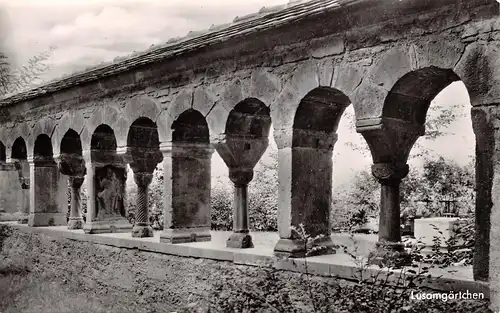 Würzburg - Lusamgärtchen ngl 167.495