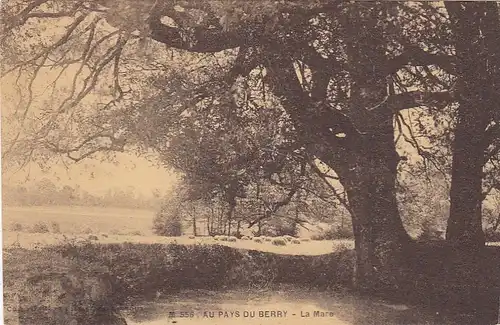 Au Pays du Berry - La Mare ngl E9089