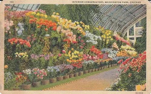 Chicago, Washington Park, Interior Conservatory gl1943 E5311