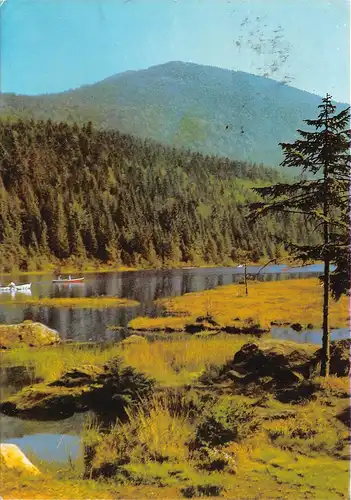 Arbersee im Bayerischen Wald gl1981 167.293