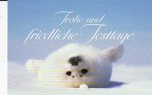 Weihnachten-Wünsche mit IFAW-Doppelkarte ngl E5362