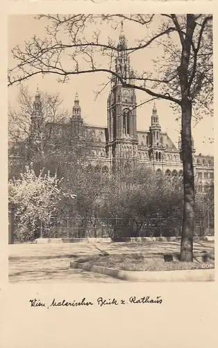 Wien, Malerischer Blick zum Rathaus ngl E6341