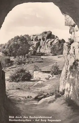 Blankenburg, Harz, Blick auf Burg Regenstein ngl E4727
