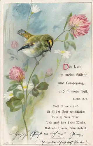 Religion: Der Herr ist meine Stärke ... gl1912 E7901
