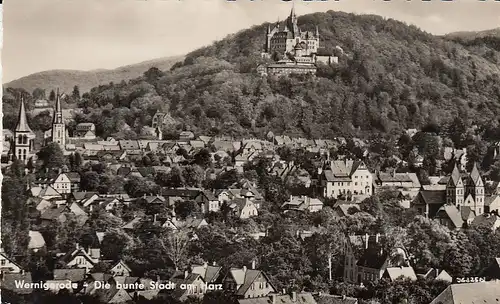 Wernigerode, die bunte Stadt am Harz ngl E4601