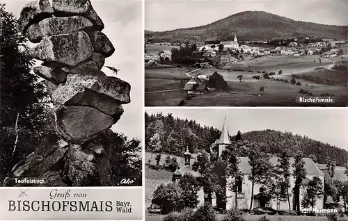 Bischofsmais - Panorama, Teufelstisch, St. Hermann ngl 167.130