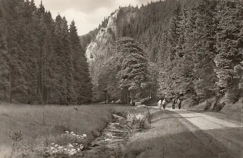 Oberhof (Thür. Wald) Der Räuberstein m.Silbergraben ngl E4620