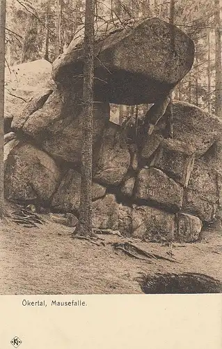 Die Mausefalle im Okertal nahe Goslar ngl E4666