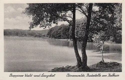 Ruppiner Wald- u.Seengebiet: Binenwalde, Badestelle am Kalksee ngl E4698