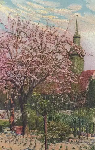 Es blüht vor der Kirche ... gl1923 E5549