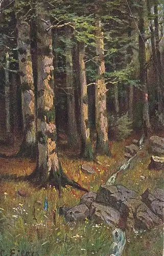 Ein Bächlein am Waldesrand gl1907 E5559