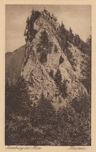 Ilsenburg, Harz, der Ilsestein ngl E4764