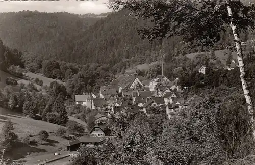 Bad Teinach im Schwarzwald gl1960 E6749