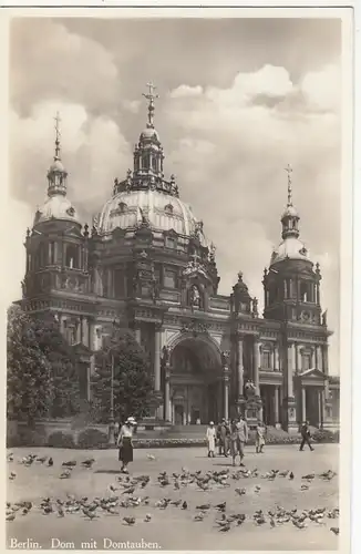 Berlin, Dom mit Dom-Tauben gl1935 E8332