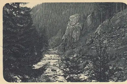 Okertal, Schlafender Löwe ngl E4860