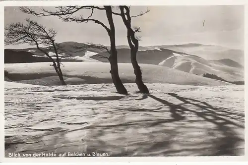 Schwarzwald, Blick von der Halde auf Belchen und Blauen gl1938 E6944