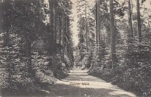 Varel, Vareler Wald gl1917 E6023