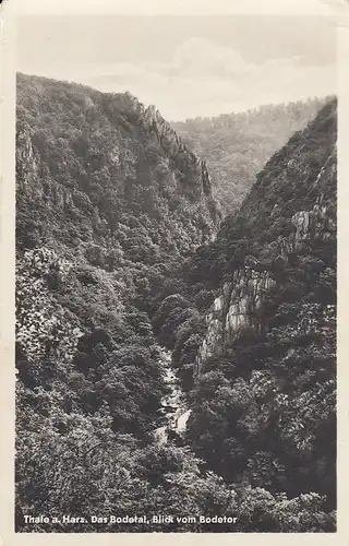 Thale a.Harz, Bodetal, Blick vom Bodetor ngl E4625