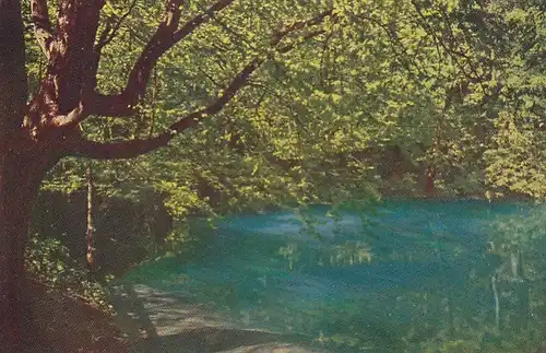 Blaubeuren, Blautopf ngl E9840