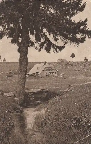 Schönwald im Schwarzwald, Bauernhaus ngl E7052