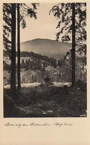 Blick auf den Falkenstein, Bayrischer Wald nahe Zwiesel ngl E6141
